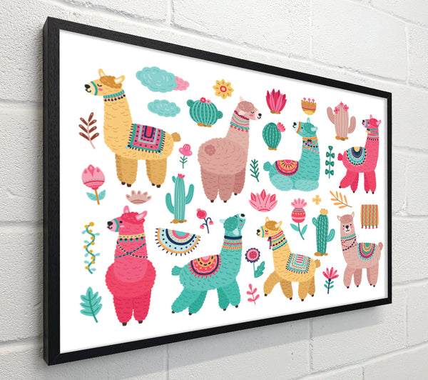 The Alpaca Collection