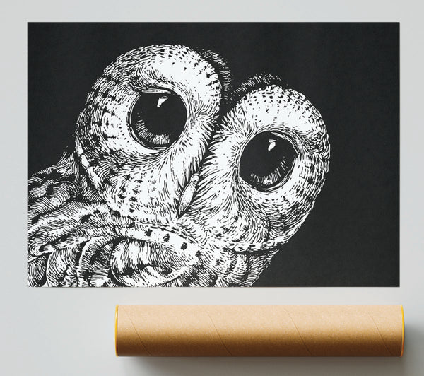 The Big Eyed Owl Poster
