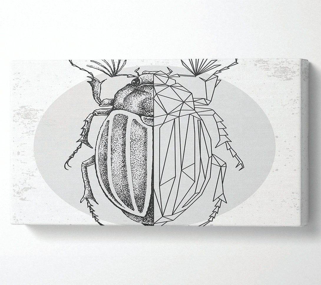  A Canvas Print of The Beetle Sketch Canvas Print