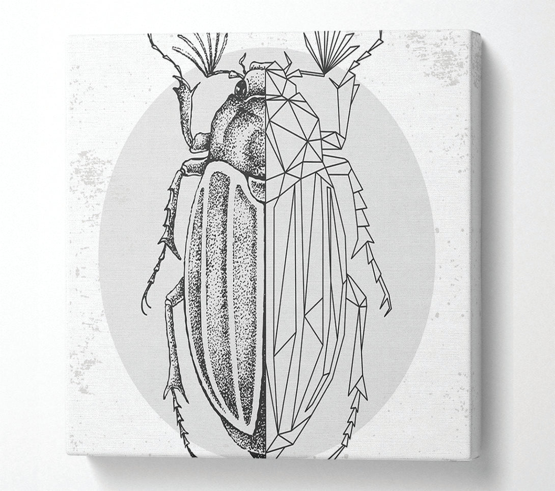  A Canvas Print of The Beetle Sketch Canvas Print
