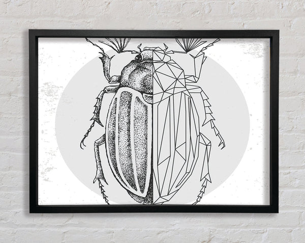 The Beetle Sketch Framed Print