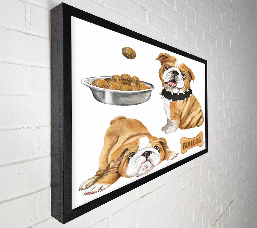  A Canvas Print of The Bull Dog Pup Canvas Print