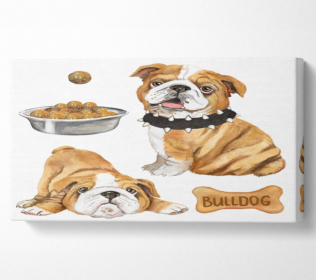  A Canvas Print of The Bull Dog Pup Canvas Print