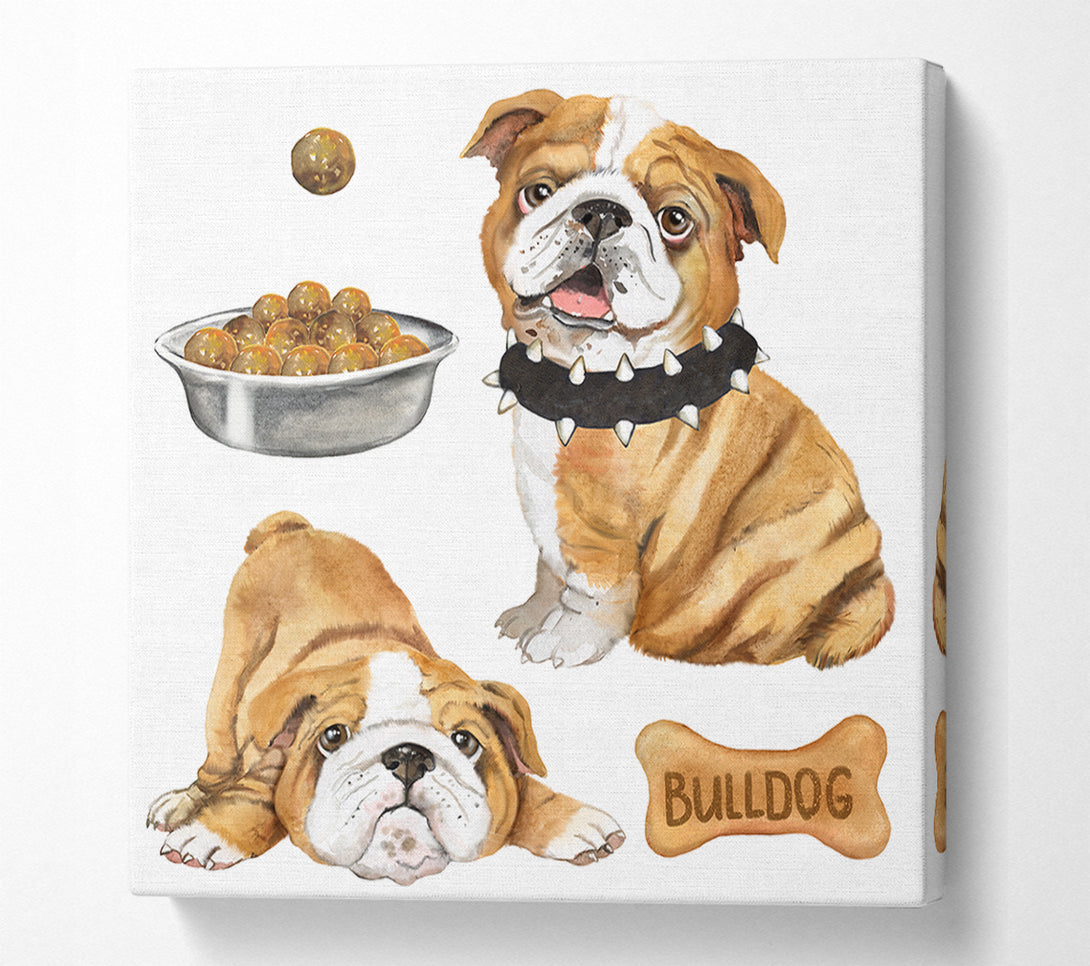  A Canvas Print of The Bull Dog Pup Canvas Print