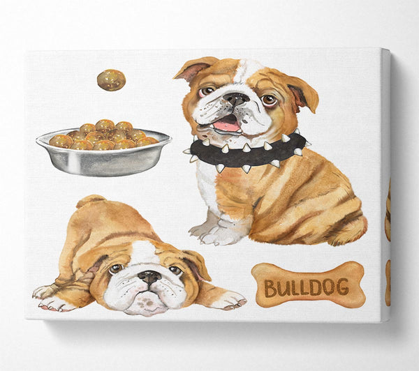  A Canvas Print of The Bull Dog Pup Canvas Print