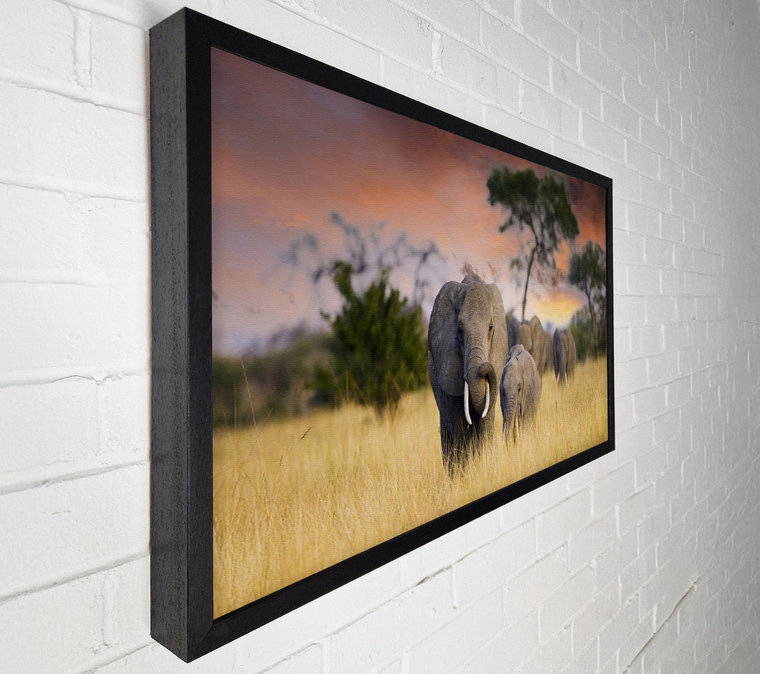  A Canvas Print of Elephants In Savannah Canvas Print