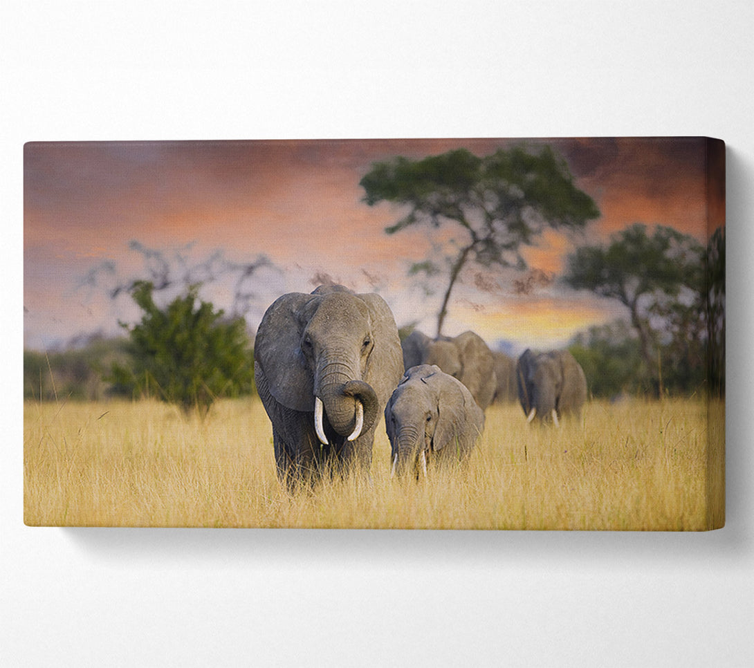  A Canvas Print of Elephants In Savannah Canvas Print