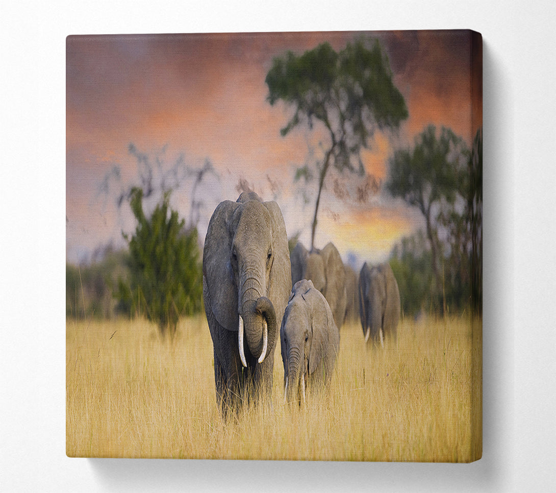  A Canvas Print of Elephants In Savannah Canvas Print