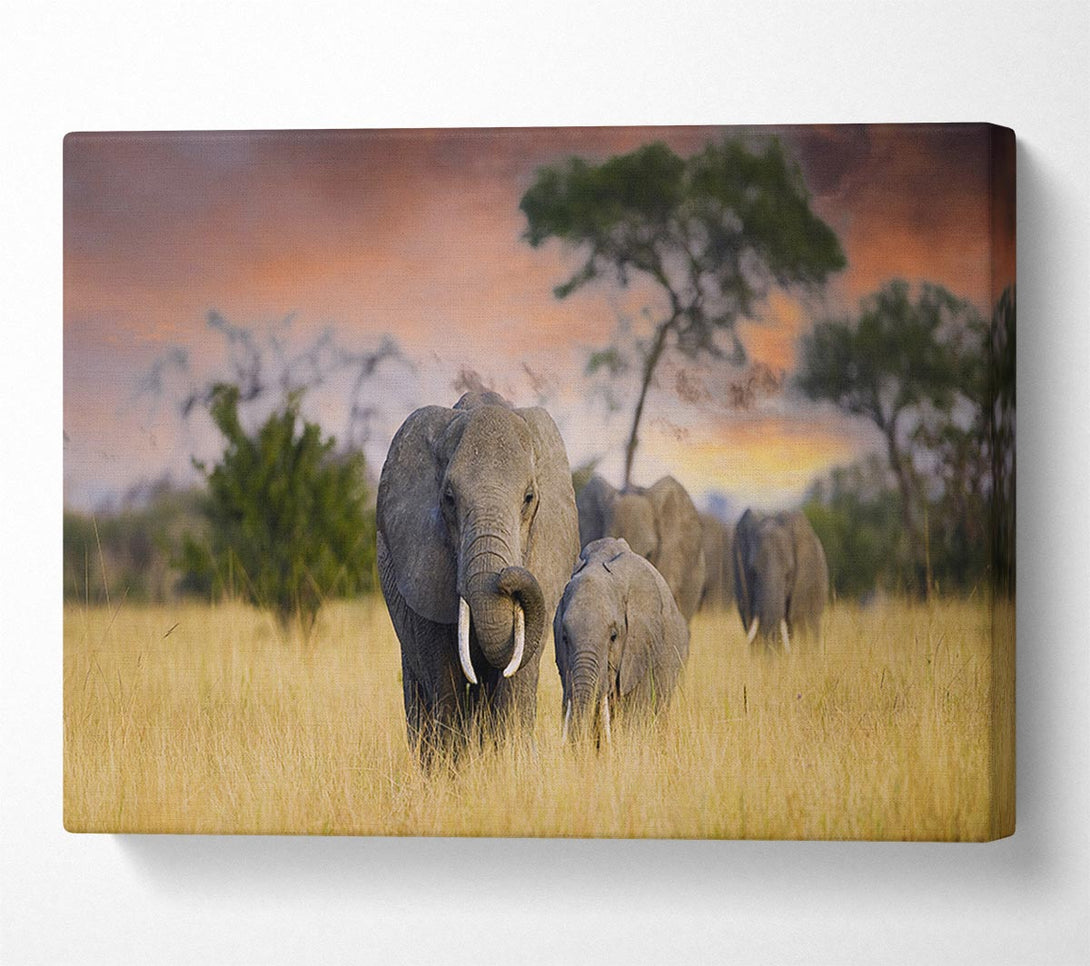  A Canvas Print of Elephants In Savannah Canvas Print