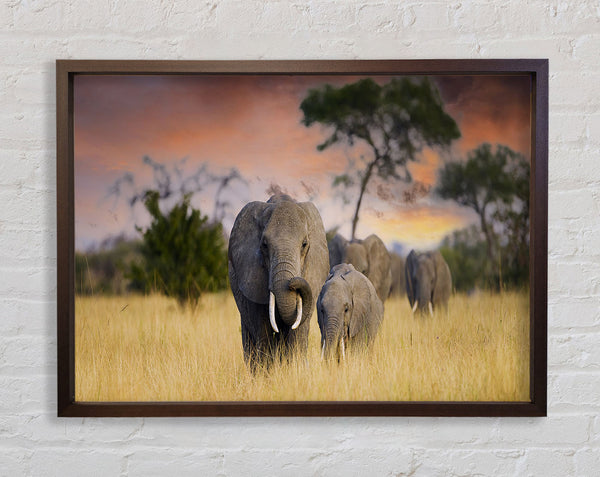 Elephants In Savannah Framed Print