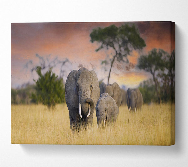  A Canvas Print of Elephants In Savannah Canvas Print