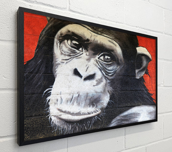 The Chimp On Red