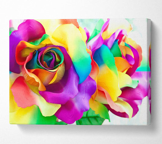 Multi Coloured Roses Close Canvas Wall Art