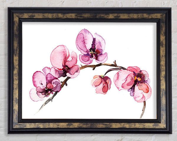 The Pink Orchid Branch Single Framed Print