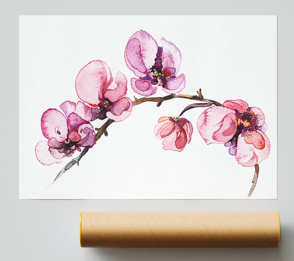 The Pink Orchid Branch Single Poster