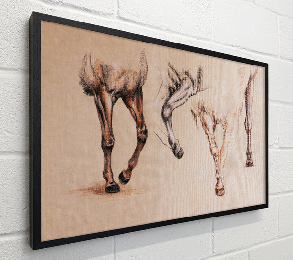 Bottom End Of Horses