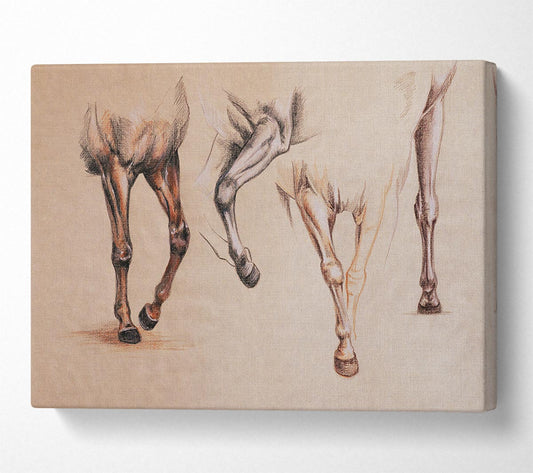 Bottom End Of Horses Canvas Wall Art