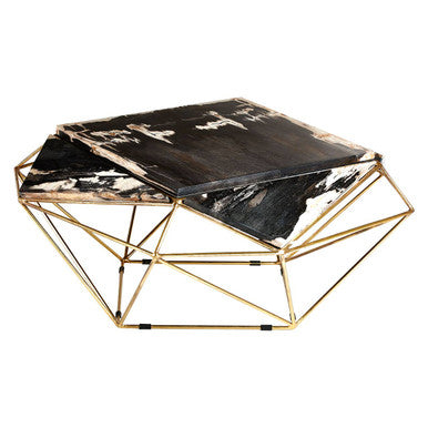 Relic Dark Petrified Wood Coffee Table