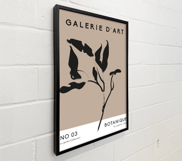 Galerie Collection Plant