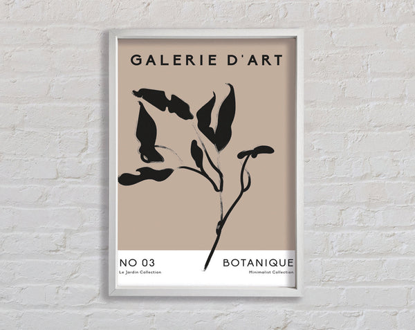 Galerie Collection Plant
