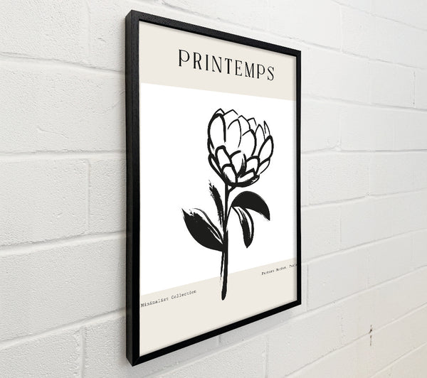 Minimalist Plant