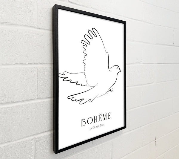 Boheme Dove