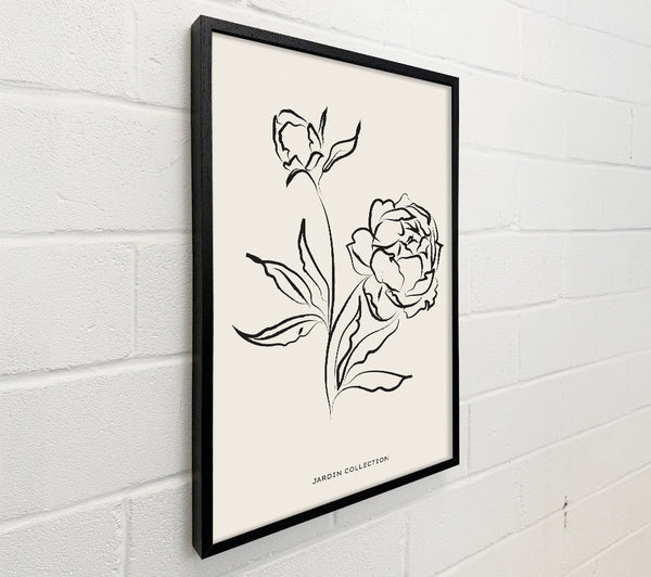 Bloomed Flowers