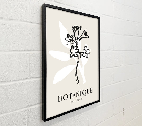 Botanical Plant Lines