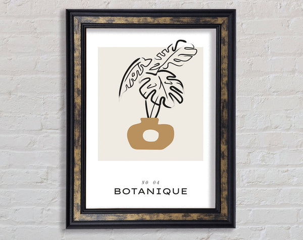 Vase Of Cheese Plant Framed Print