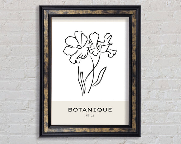 Two Flowers Framed Print