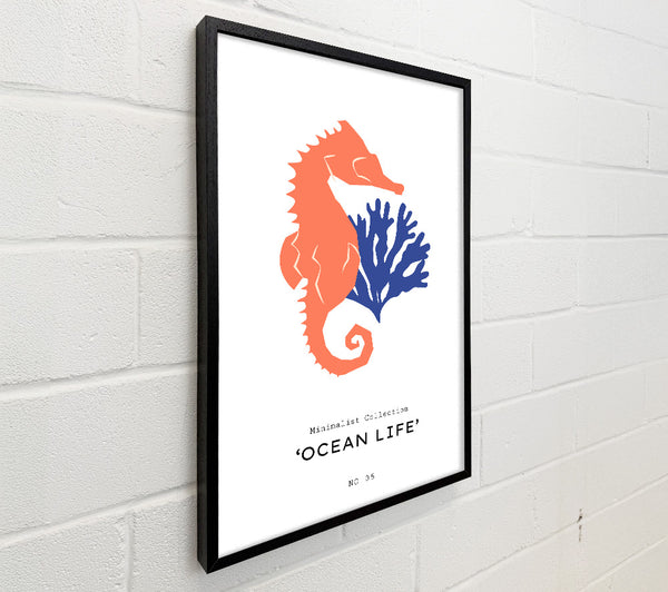 Ocean Life