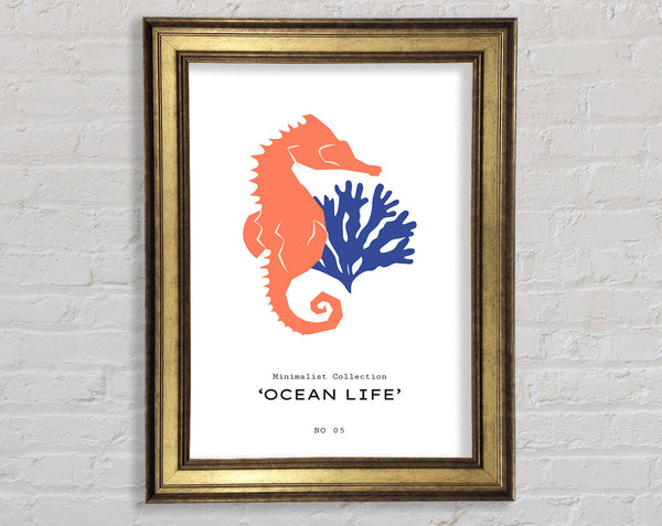 Ocean Life Framed Print