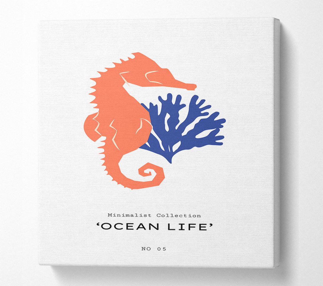  A Canvas Print of Ocean Life Canvas Wall Art