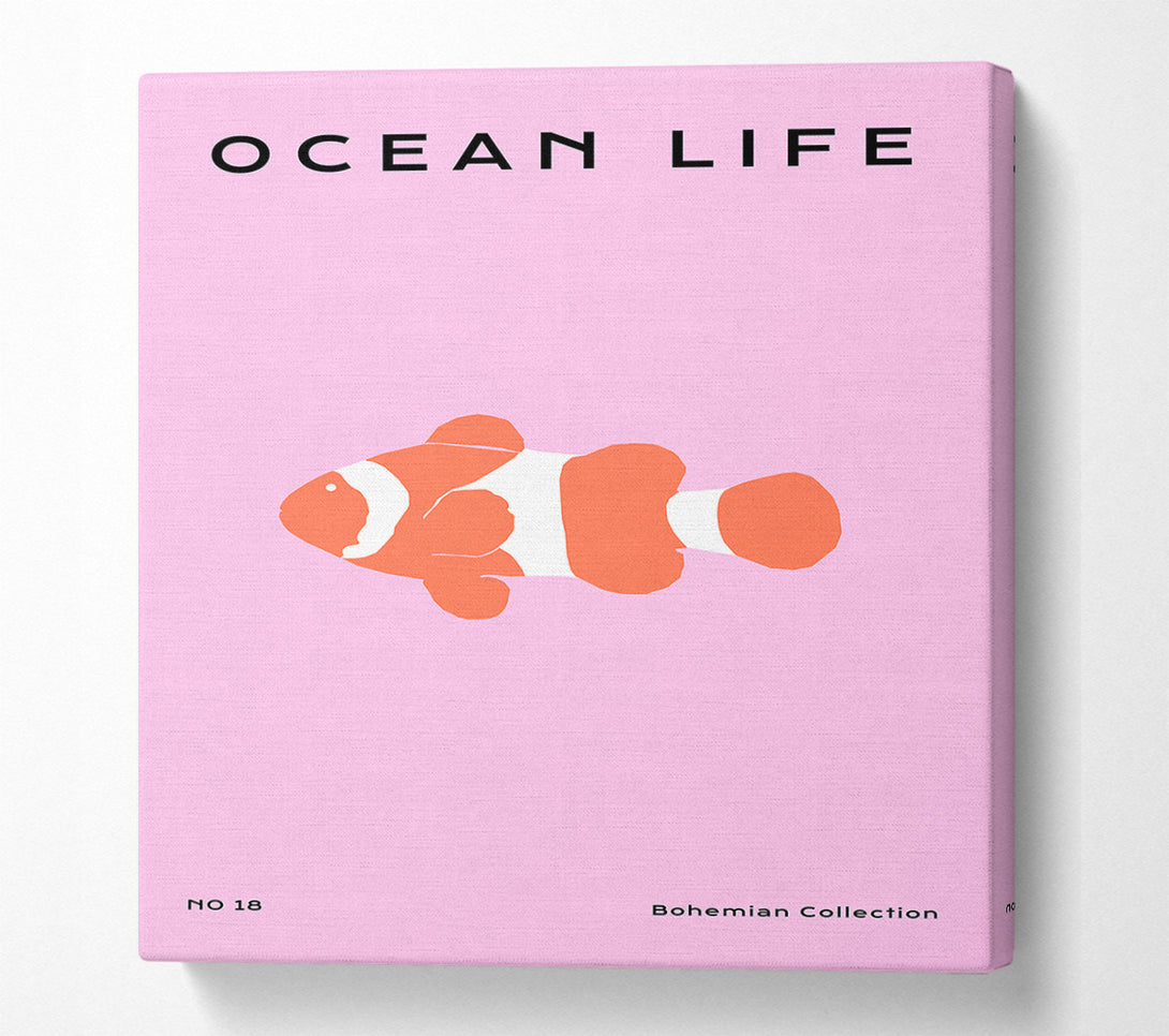  A Canvas Print of Clown Fish Canvas Art