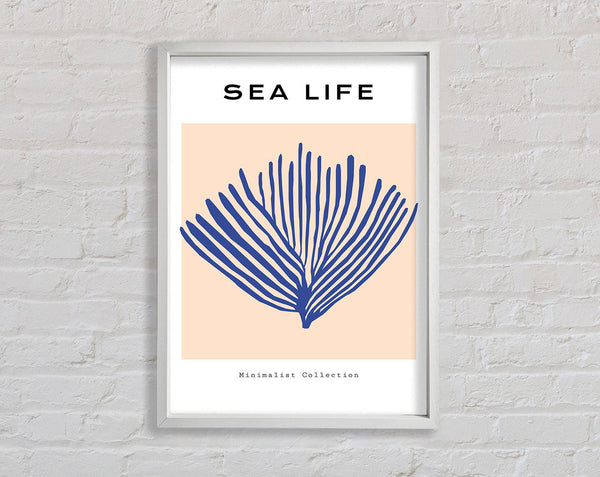 Sea Life Blue Coral Framed Print