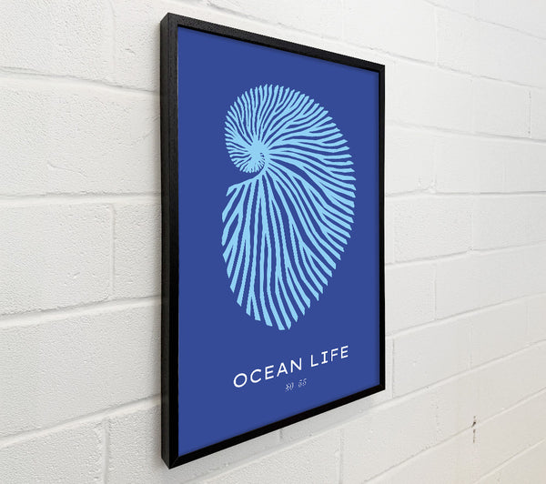 Ocean Life Shell Blue