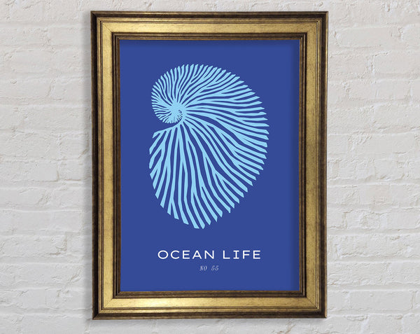 Ocean Life Shell Blue Framed Print