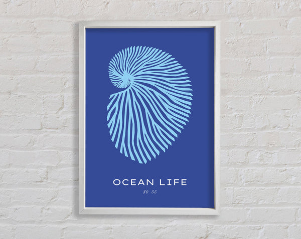 Ocean Life Shell Blue