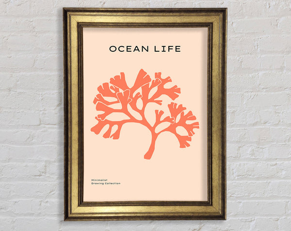 Orange Coral Tree Framed Print