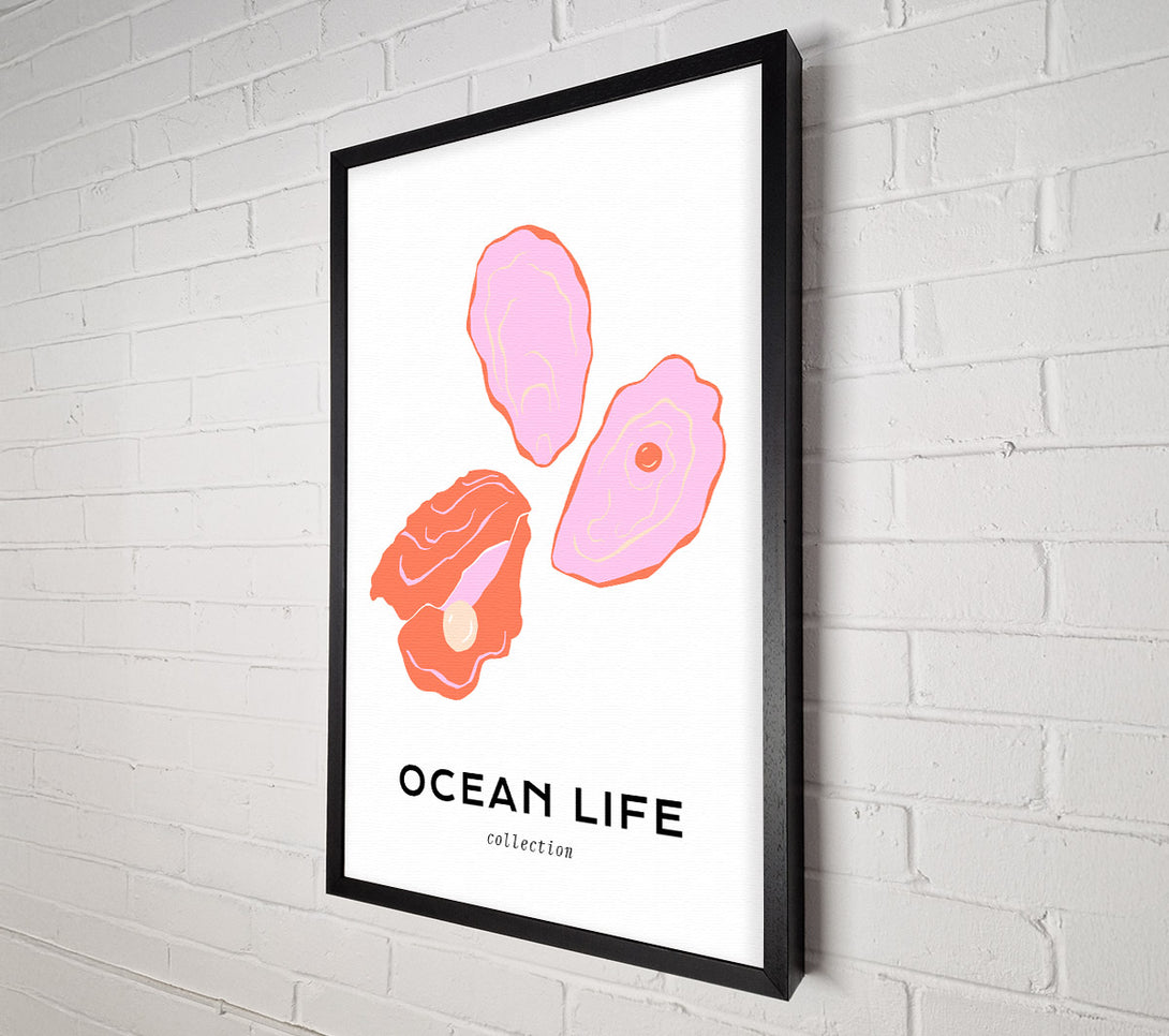  A Canvas Print of Stunning Ocean Shell Canvas Print