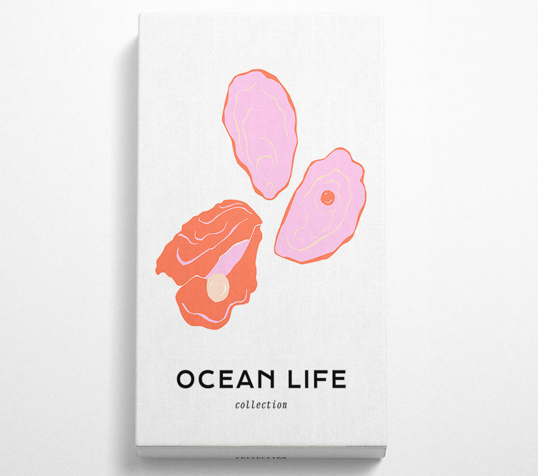  A Canvas Print of Stunning Ocean Shell Canvas Print