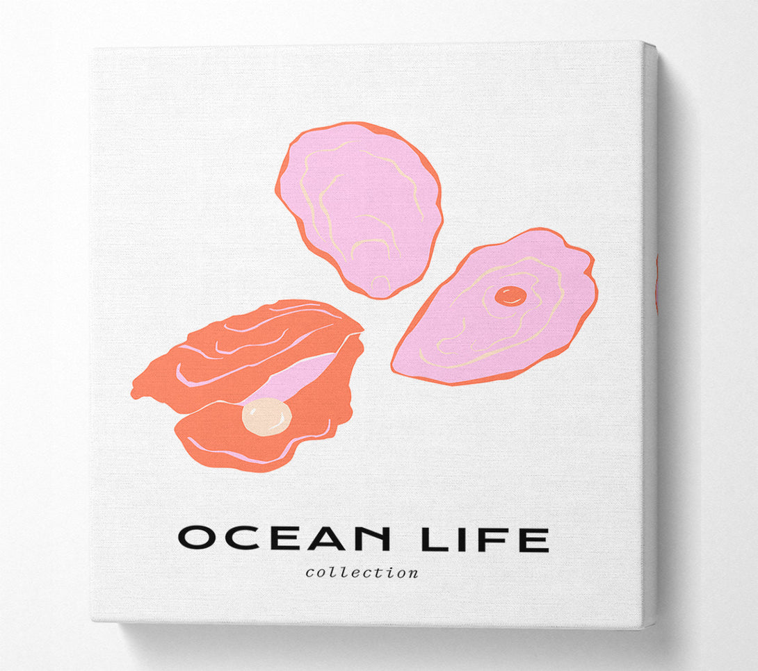  A Canvas Print of Stunning Ocean Shell Canvas Print