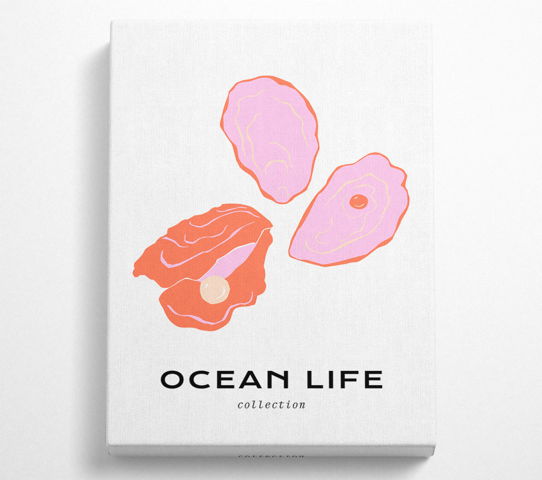  A Canvas Print of Stunning Ocean Shell Canvas Print
