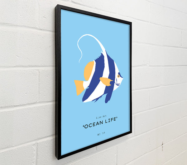 Angel Fish Blue And White