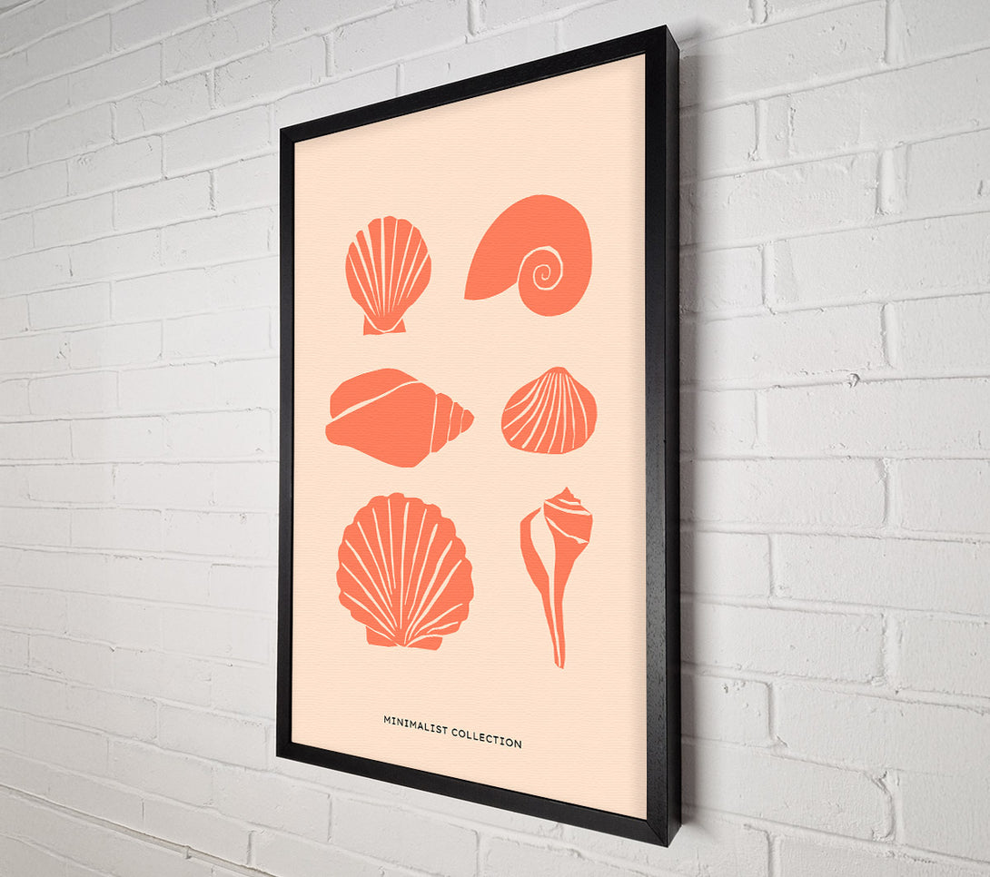  A Canvas Print of A Shell Collection Canvas Print
