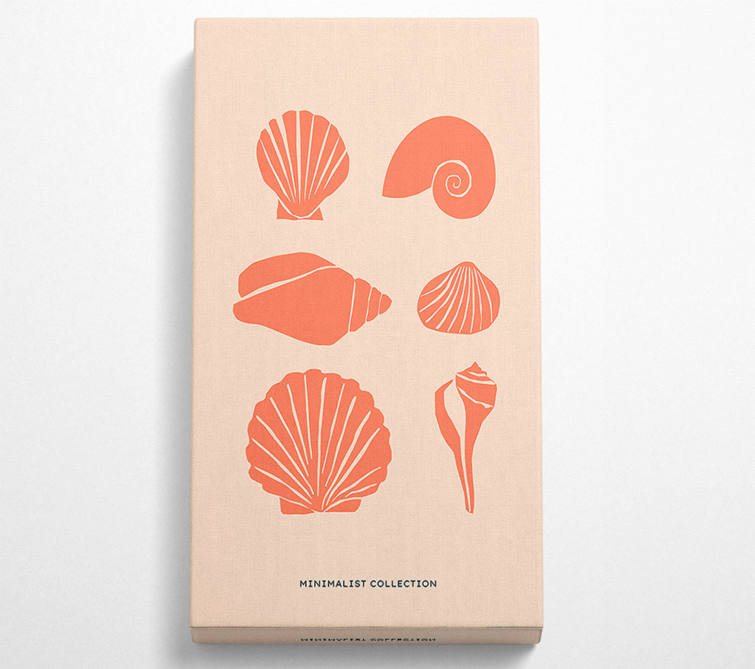  A Canvas Print of A Shell Collection Canvas Print