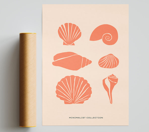 A Shell Collection Print