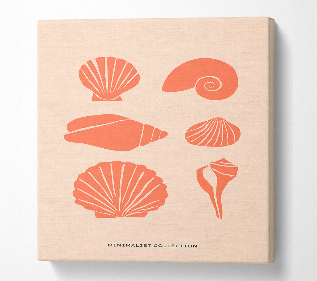  A Canvas Print of A Shell Collection Canvas Print