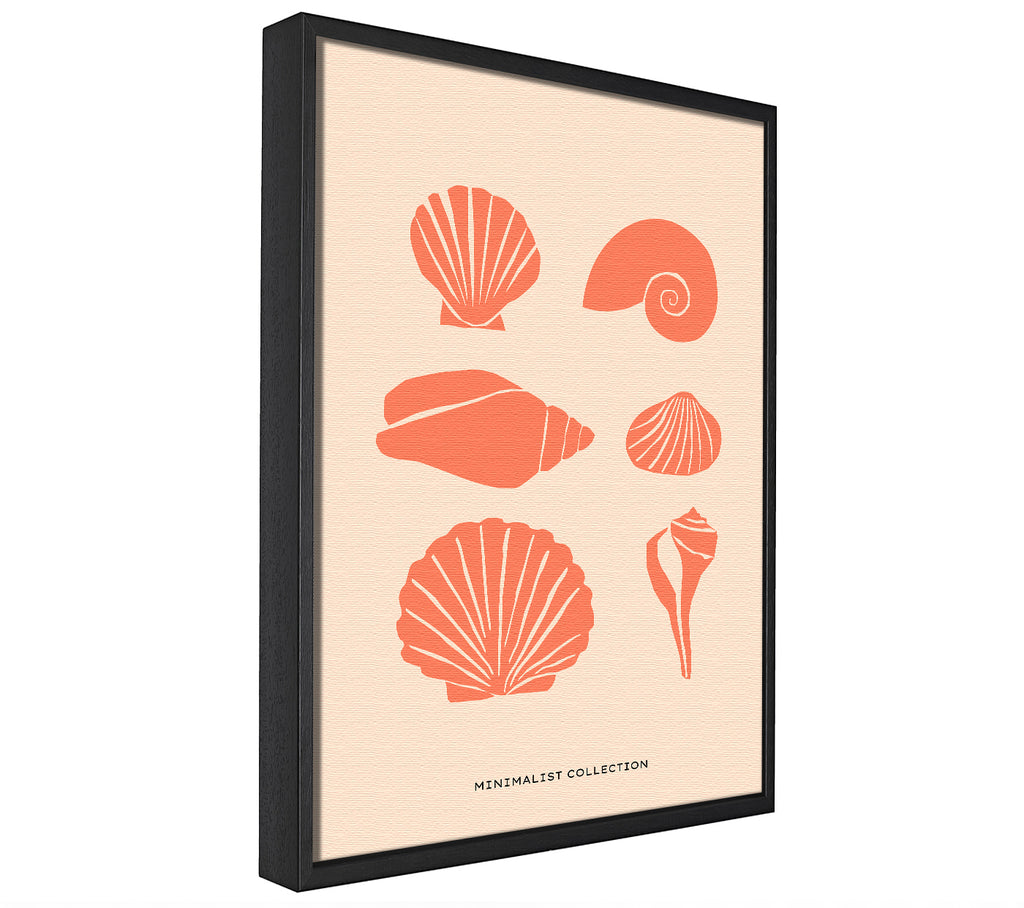 A picture of a A Shell Collection framed canvas print sold by Wallart-Direct.co.uk