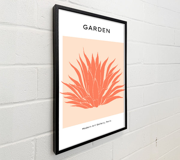 Bohemian Garden